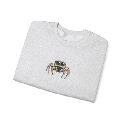 Secret Keeper Jumping Spider Sweatshirt