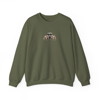 Secret Keeper Jumping Spider Sweatshirt