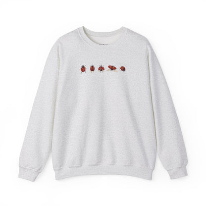 Minimal Ladybug Sweatshirt - Lucky You