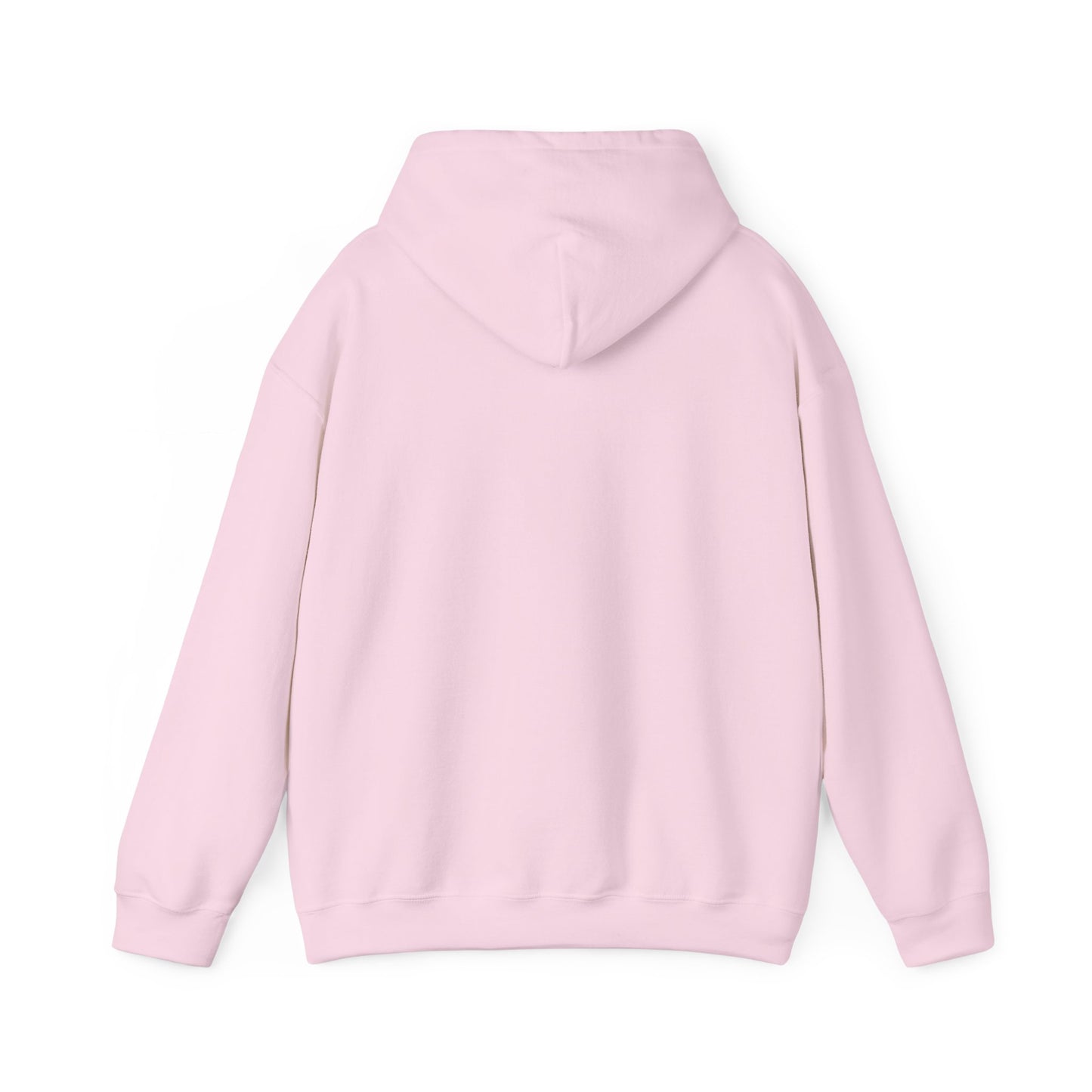 ANTARCTICA Hoodie - Travel Essential