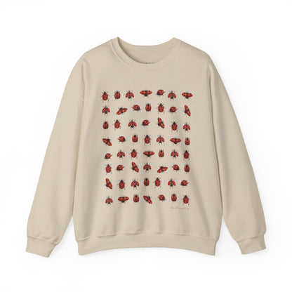 Ladybug Sweatshirt