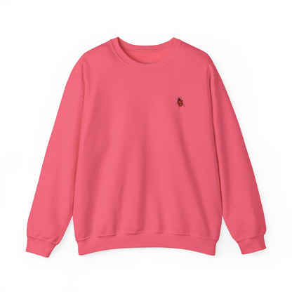 Cute Ladybug - Good Luck Sweatshirt