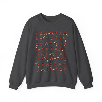 Ladybug Sweatshirt