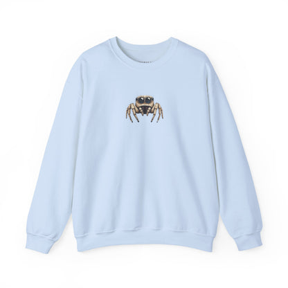 Secret Keeper Jumping Spider Sweatshirt