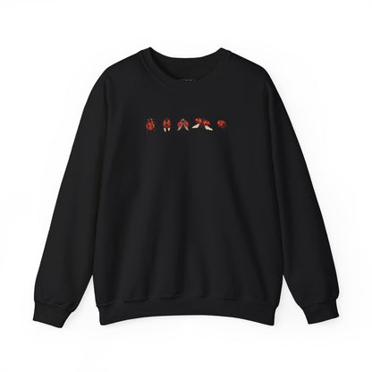 Minimal Ladybug Sweatshirt - Lucky You