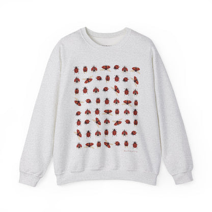 Ladybug Sweatshirt
