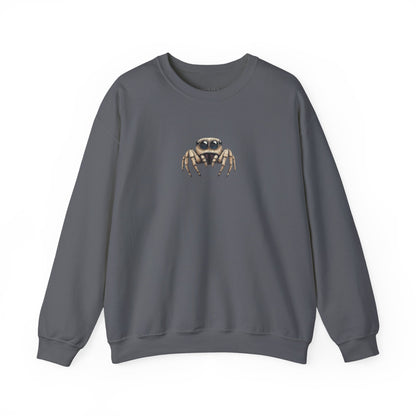 Secret Keeper Jumping Spider Sweatshirt