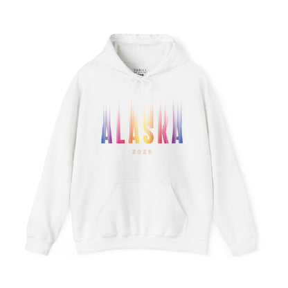 Aurora Borealis - ALASKA Hoodie