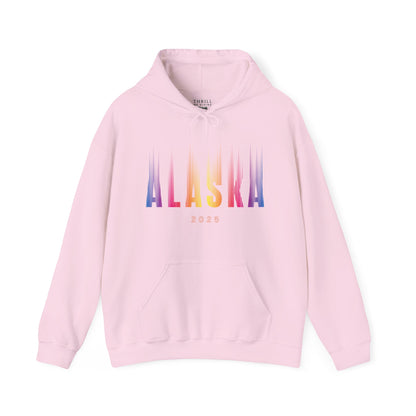 Aurora Borealis - ALASKA Hoodie