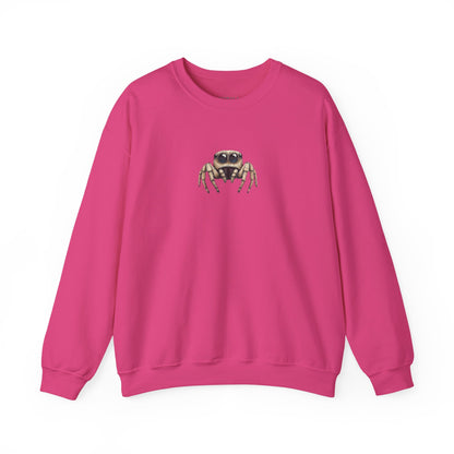 Secret Keeper Jumping Spider Sweatshirt