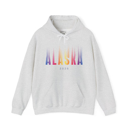 Aurora Borealis - ALASKA Hoodie