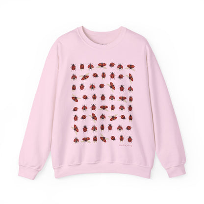 Ladybug Sweatshirt