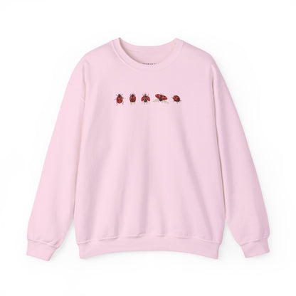 Minimal Ladybug Sweatshirt - Lucky You