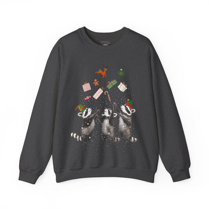 Elf Raccoon Holiday Sweatshirt