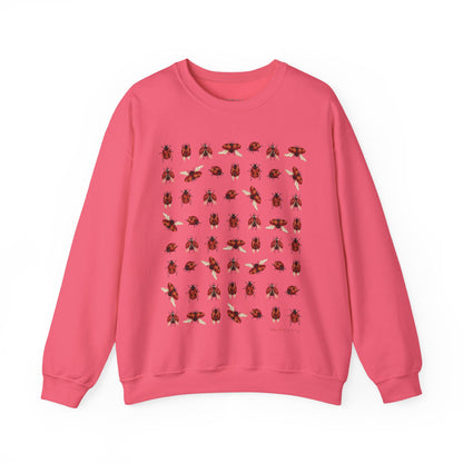 Ladybug Sweatshirt